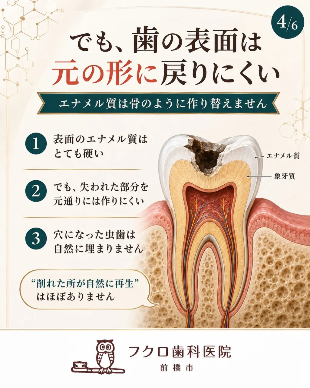 「骨は折れても治るのに、虫歯はなぜ元に戻らないの？」