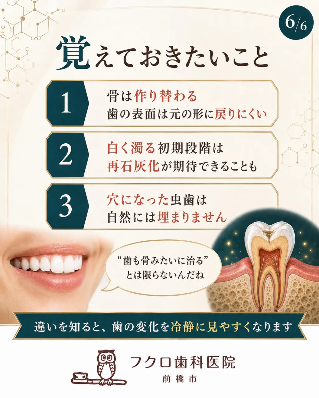 「骨は折れても治るのに、虫歯はなぜ元に戻らないの？」