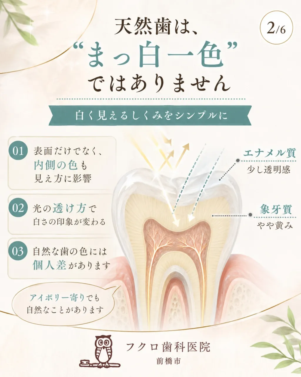「健康な歯＝真っ白」だと思っていませんか？