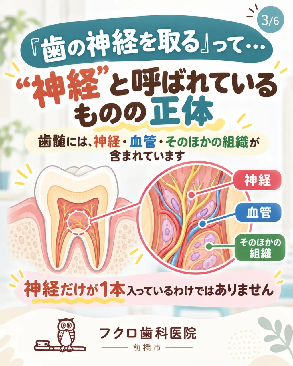 「歯の神経を取ります」と言われると、